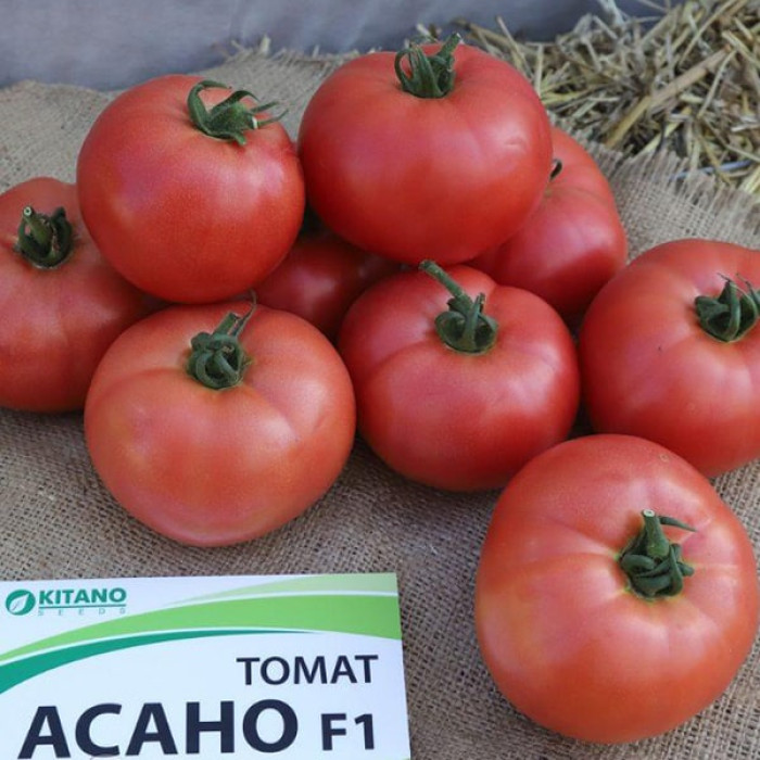 Фото Насіння томатів (помідор) KS 38 (Асано) F1