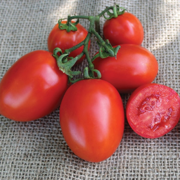 Фото Насіння томатів (помідор) Бріксол F1 (Brixol F1)