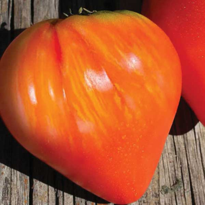 Фото Насіння томатів (помідор) Бичаче серце полосате