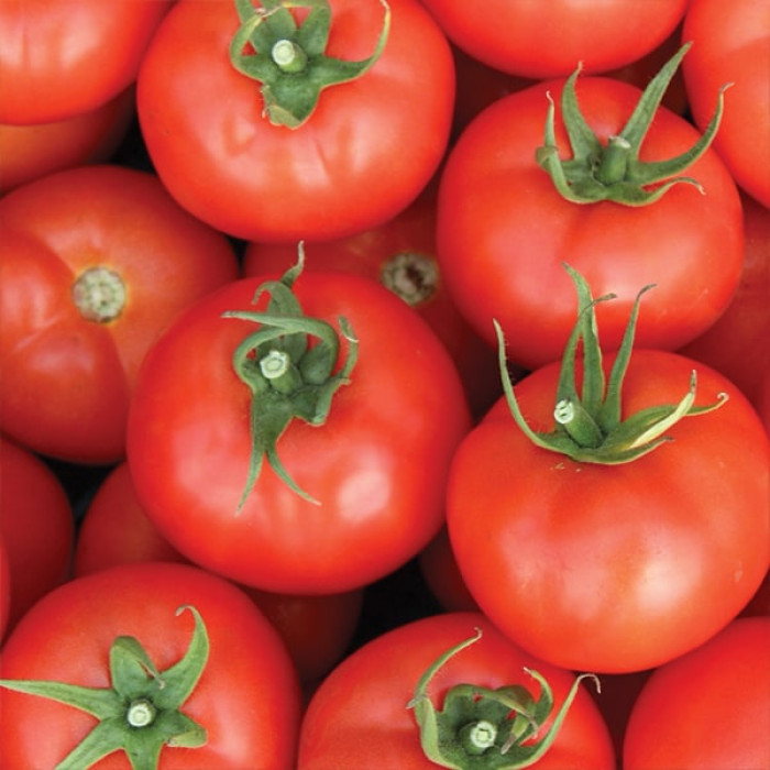 Фото Насіння томатів (помідор) Дантіна F1