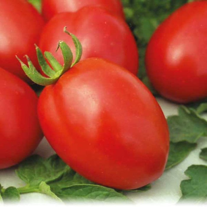 Фото Насіння томатів (помідор) Де Барао Червоний