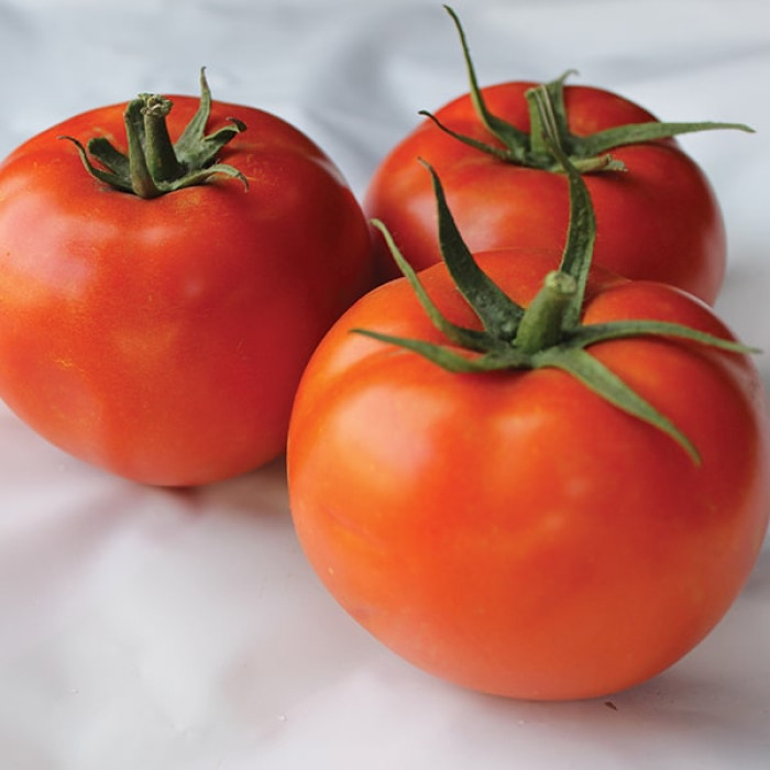 Фото Насіння томатів (помідор) Дуал Лардж F1, №3