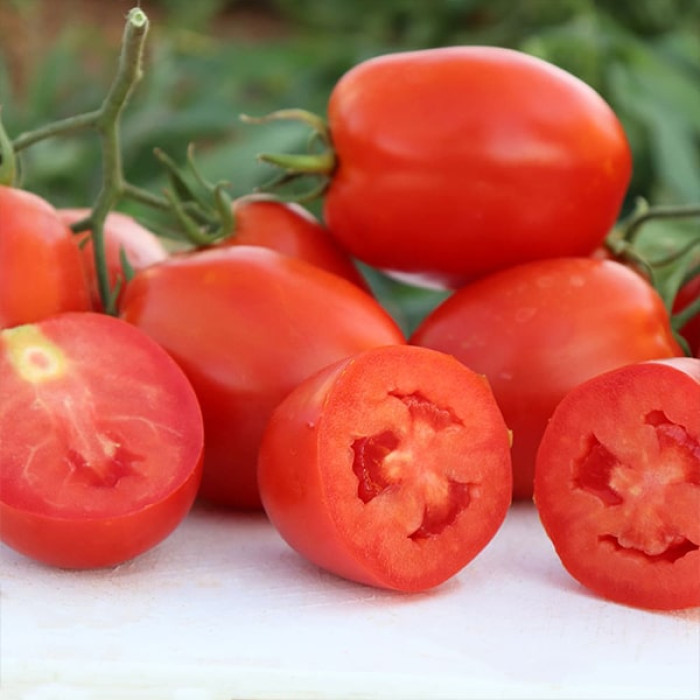 Фото Насіння томатів (помідор) ЄС 5455 F1