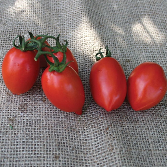 Фото Насіння томатів (помідор) ЄС 9340 F1, №1