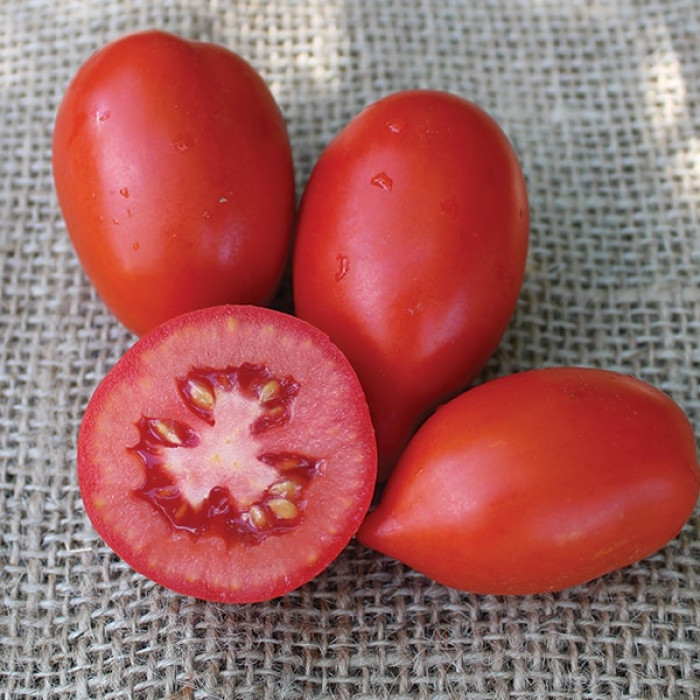 Фото Насіння томатів (помідор) ЄС 9340 F1
