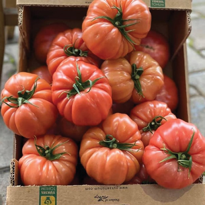 Фото Насіння томатів (помідор) Гюсто F1 (Gusto F1), №1