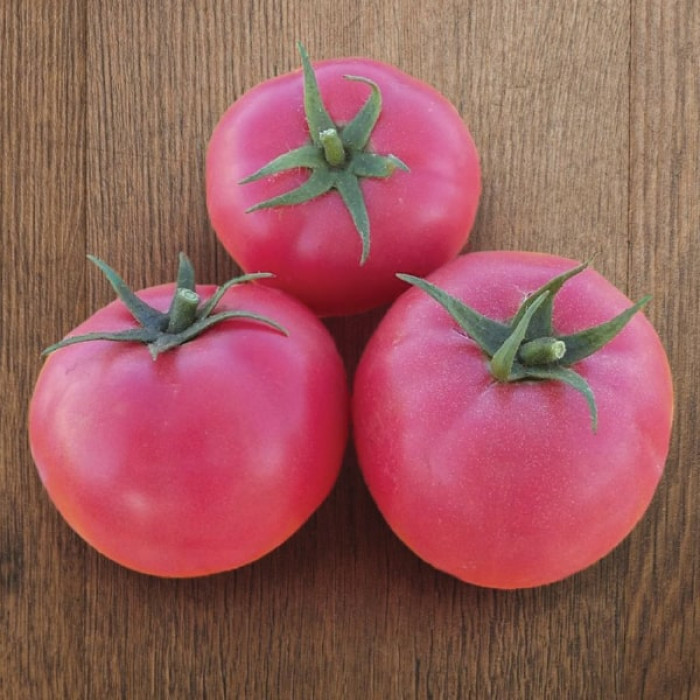 Фото Насіння томатів (помідор) Хапінет F1 (Hapinet F1)