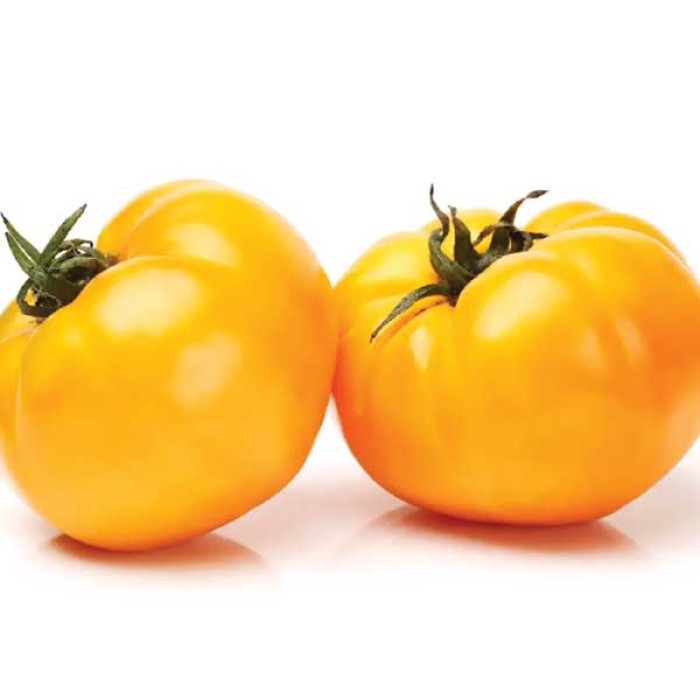 Фото Насіння томатів (помідор) Ілля Муромець