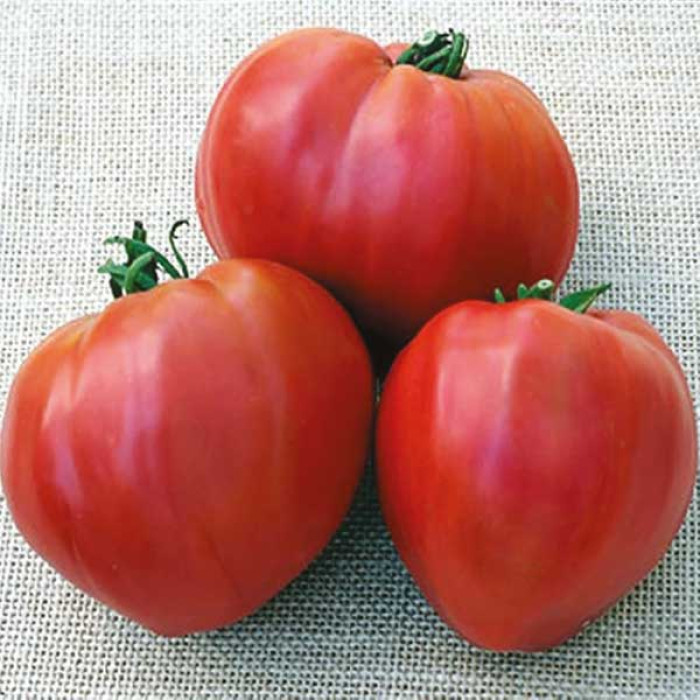 Фото Насіння томатів (помідор) Кардинал