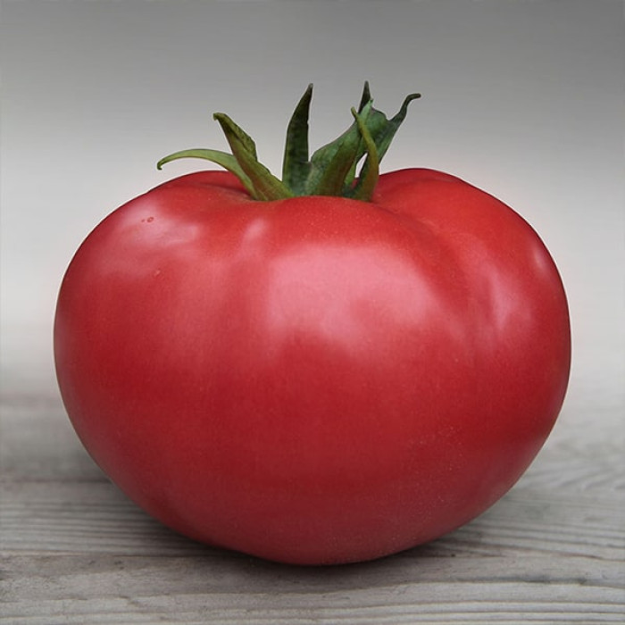 Фото Насіння томатів (помідор) Кібо F1, №1