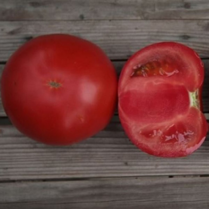 Фото Насіння томатів (помідор) Кібо F1, №2
