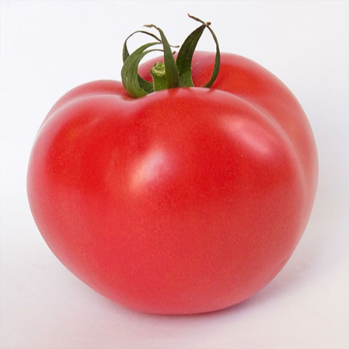 Фото Насіння томатів (помідор) Кітару (KS 14) F1  (знято з в-ва), №1