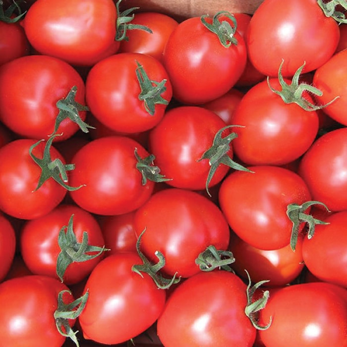 Фото Насіння томатів (помідор) Колібрі F1 (Kolibri F1)