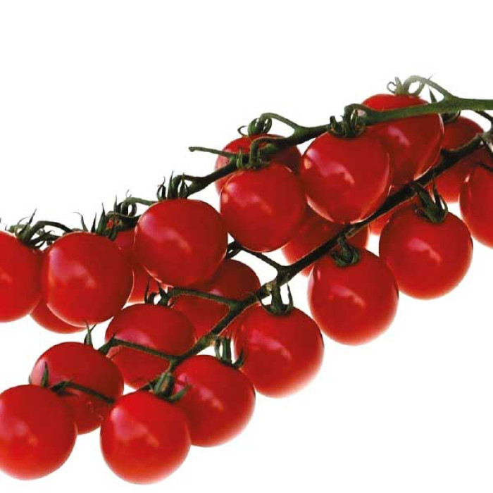 Фото Насіння томатів (помідор) Конорі F1 (Konori F1)
