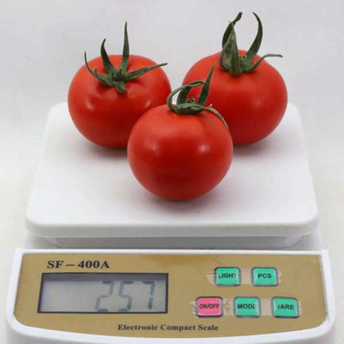 Фото Насіння томатів (помідор) КС 134 F1