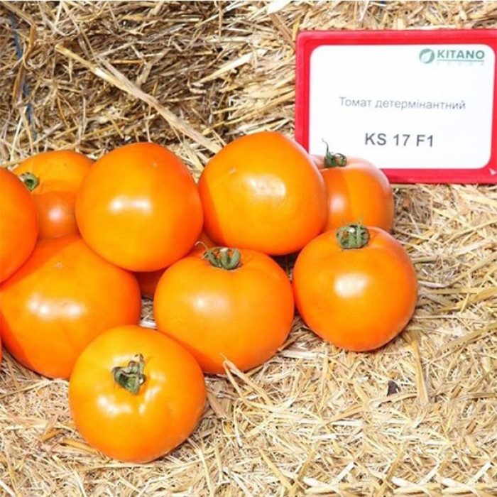 Фото Насіння томатів (помідор) Нуксі F1 (KS 17 F1) 