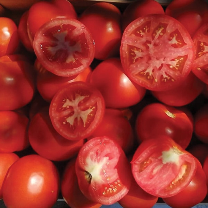 Фото Насіння томатів (помідор) KS 204 F1, №3
