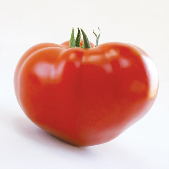 Фото Насіння томатів (помідор) KS 204 F1