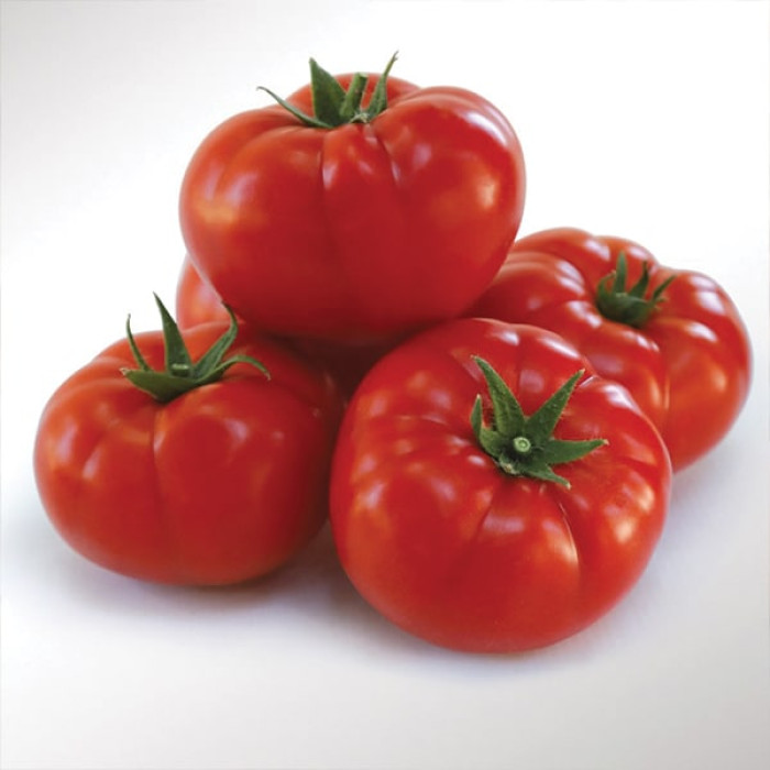 Фото Насіння томатів (помідор) KS 206 F1