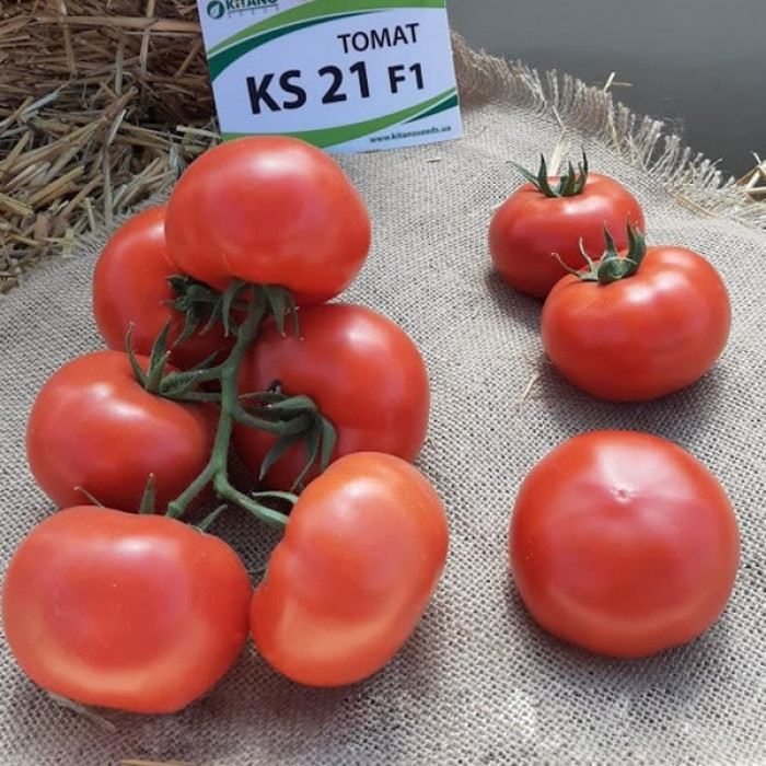 Фото Насіння томатів (помідор) Манамі F1 (Manami KS 21 F1)