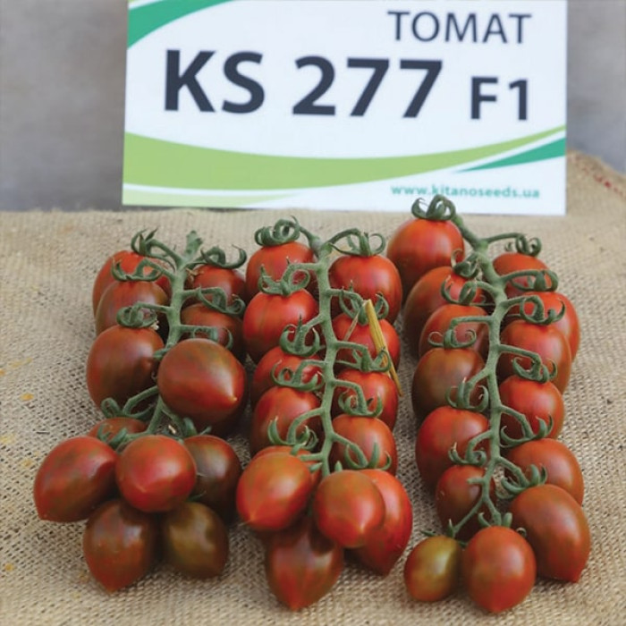 Фото Насіння томатів (помідор) KS 277 F1, №2