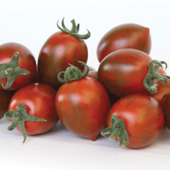 Фото Насіння томатів (помідор) KS 277 F1