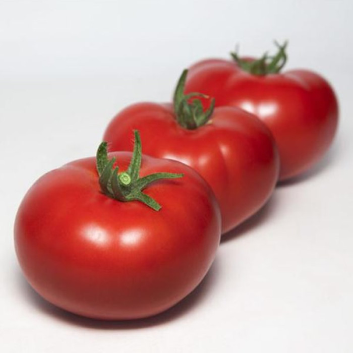 Фото Насіння томатів (помідор) KS 301 F1