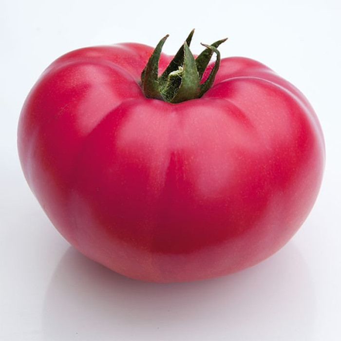 Фото Насіння томатів (помідор) KS 3811 F1