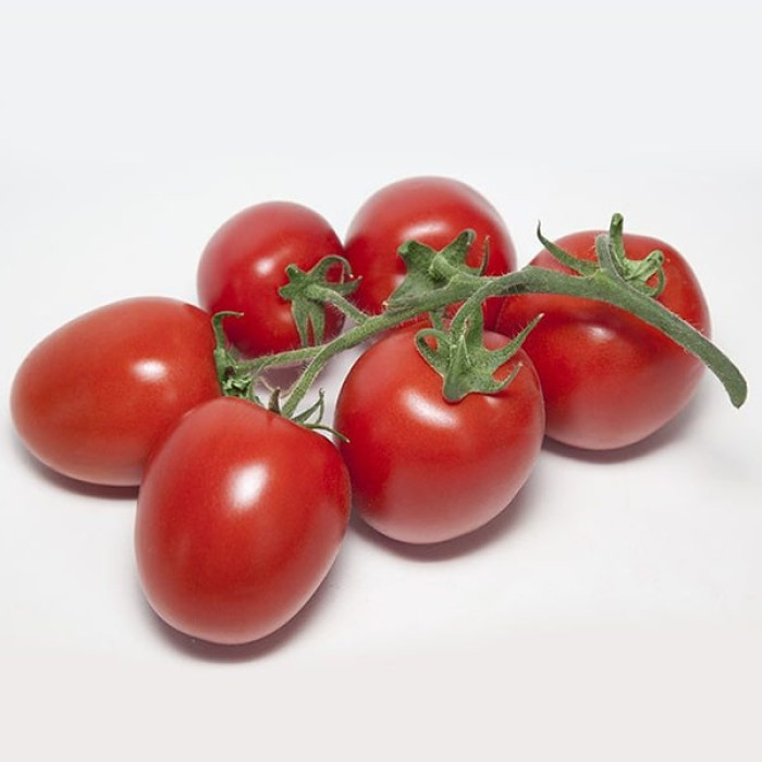 Фото Насіння томатів (помідор) Банті F1 (KS 3819 F1)