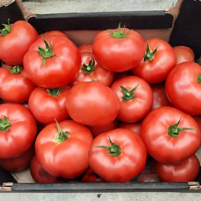 Фото Насіння томатів (помідор) Малдуо F1 (Malduo F1), №3