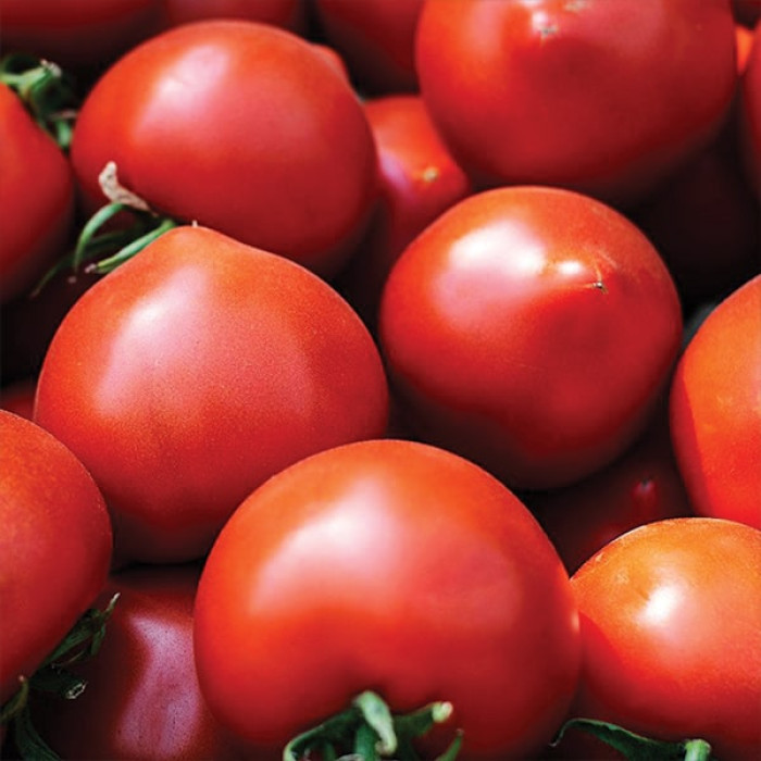 Фото Насіння томатів (помідор) Меланет (Мелонет) F1 (Melanet F1), №3