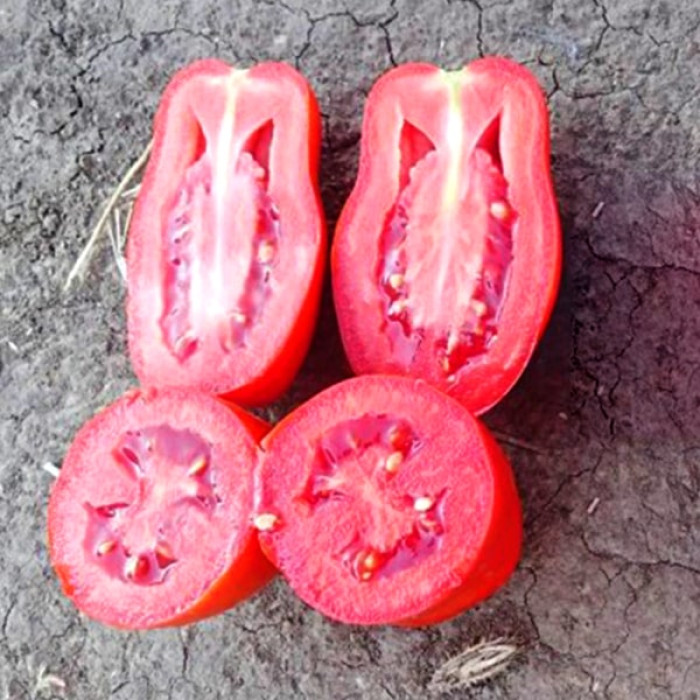 Фото Насіння томатів (помідор) Міцено F1 (Miceno F1), №3