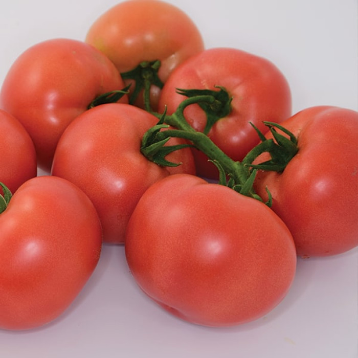 Фото Насіння томатів (помідор) Пінк Делайт F1