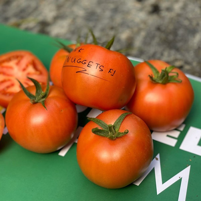 Фото Насіння томатів (помідор) Пінк Нагетс F1, №1