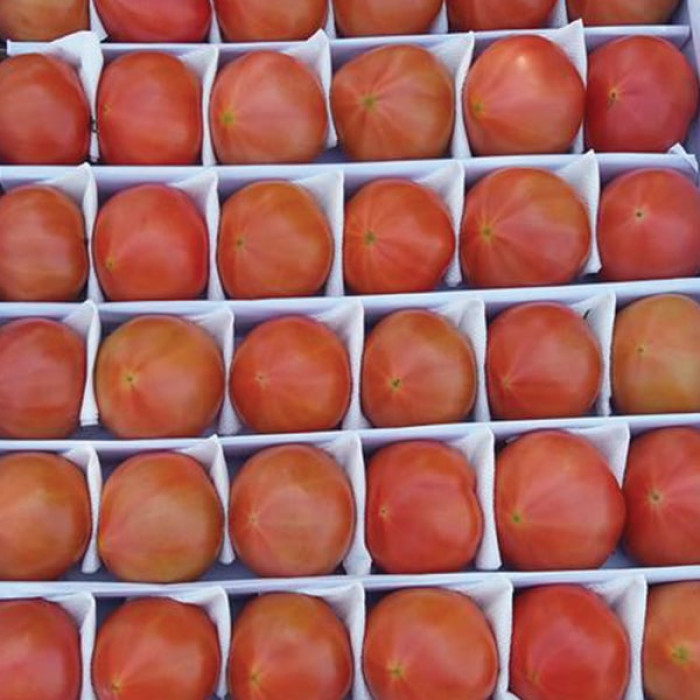 Фото Насіння томатів (помідор) Пінк Парадайз F1 (Pink Paradise F1), №1