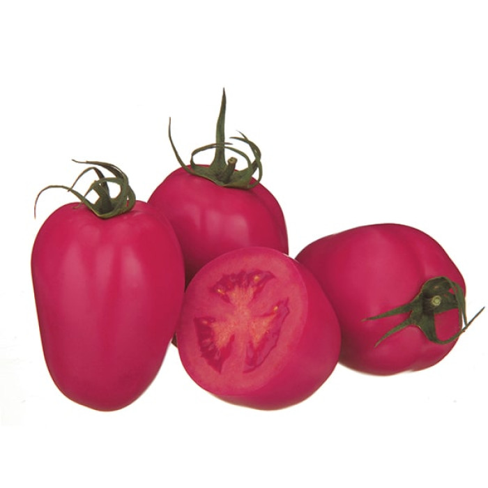 Фото Насіння томатів (помідор) Пінк Піонер F1 (Pink Pioner F1), №1