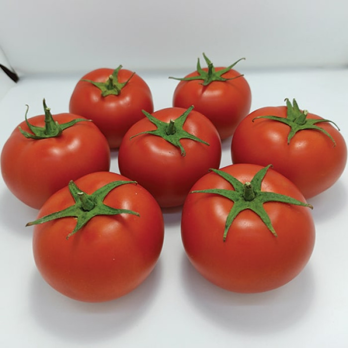 Фото Насіння томатів (помідор) Бандерас F1 (ПЛ 6212 F1), №1