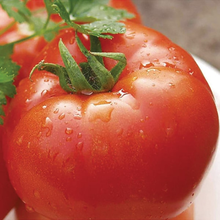 Фото Насіння томатів (помідор) Полбіг F1 (Polbig F1)