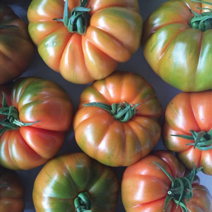 Фото Насіння томатів (помідор) Ред Кой F1