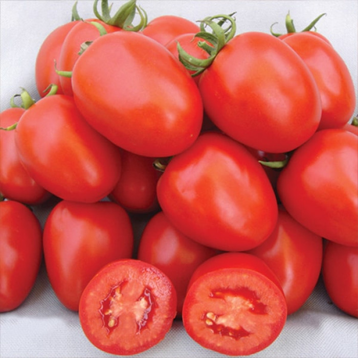 Фото Насіння томатів (помідор) Ріо Фуєго