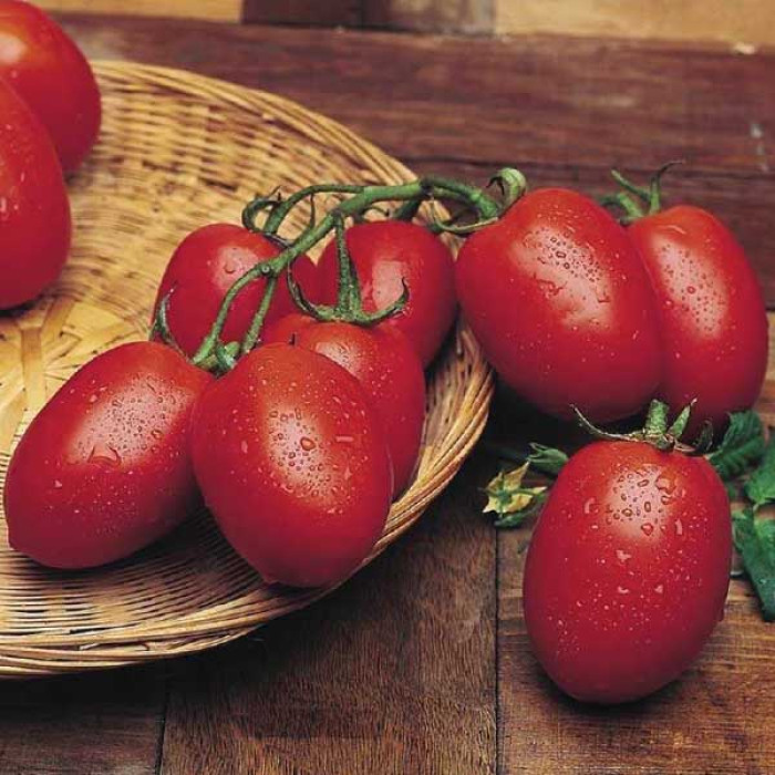 Фото Насіння томатів (помідор) Ріо Гранде (Rio Grande)