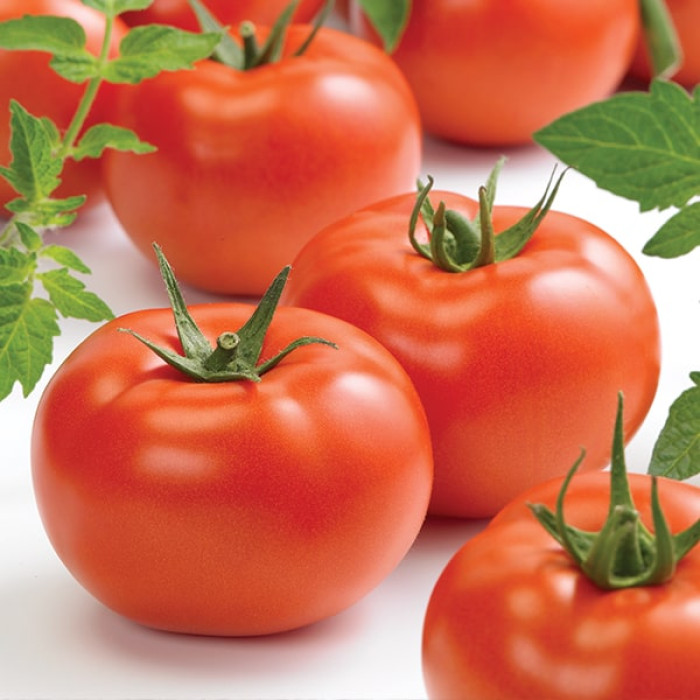 Фото Насіння томатів (помідор) Ронда F1, №1