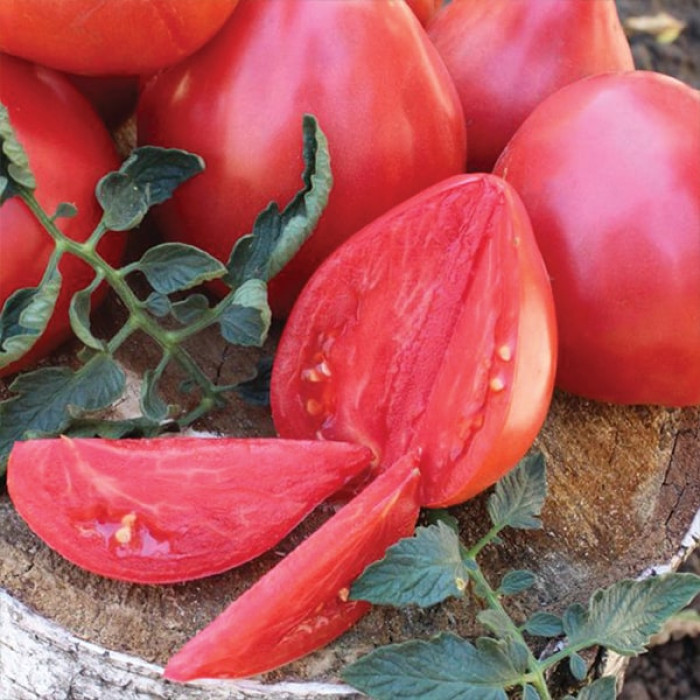Фото Насіння томатів (помідор) Цукровий Бізон