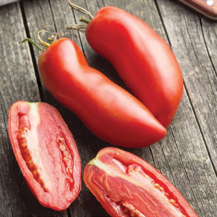 Фото Насіння томатів (помідор) Сан Марцано (San Marzano)