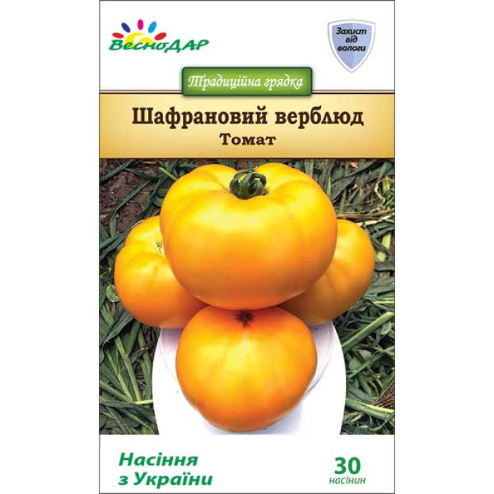 Фото Насіння томатів (помідор) Шафрановий верблюд, №1