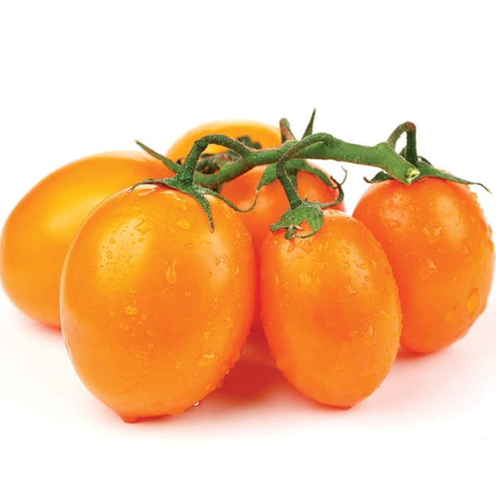 Фото Насіння томатів (помідор) Скеля