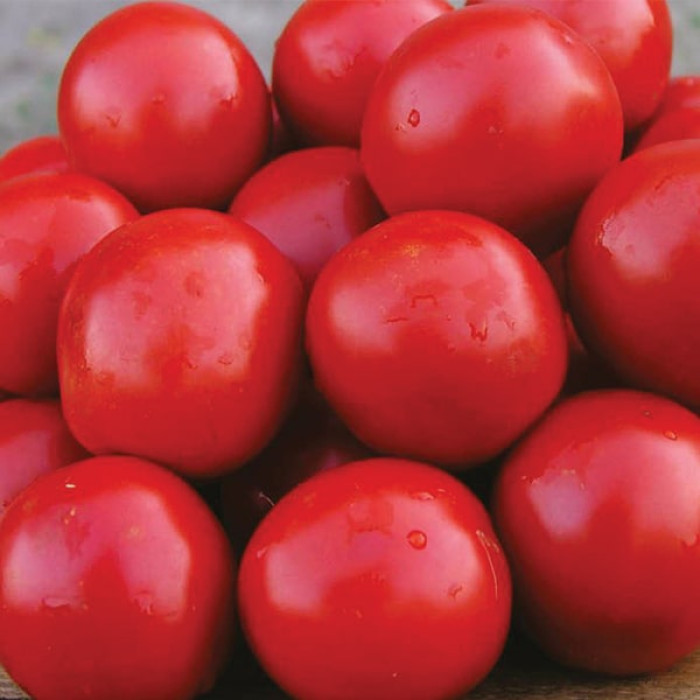Фото Насіння томатів (помідор) Солероссо F1 (Solerosso F1), №3
