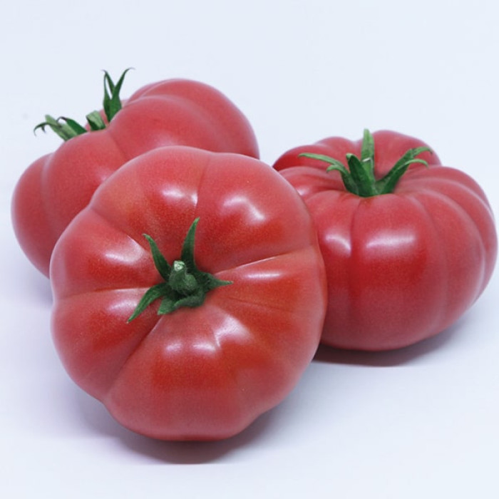 Фото Насіння томатів (помідор) Сонароза F1 (Sonarosa F1)