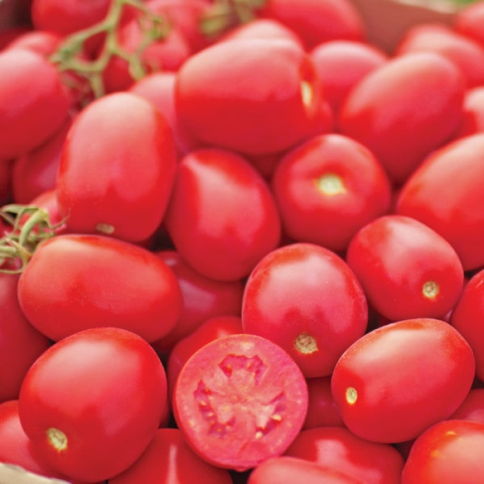 Фото Насіння томатів (помідор) Уно Россо F1 (Uno Rosso F1)