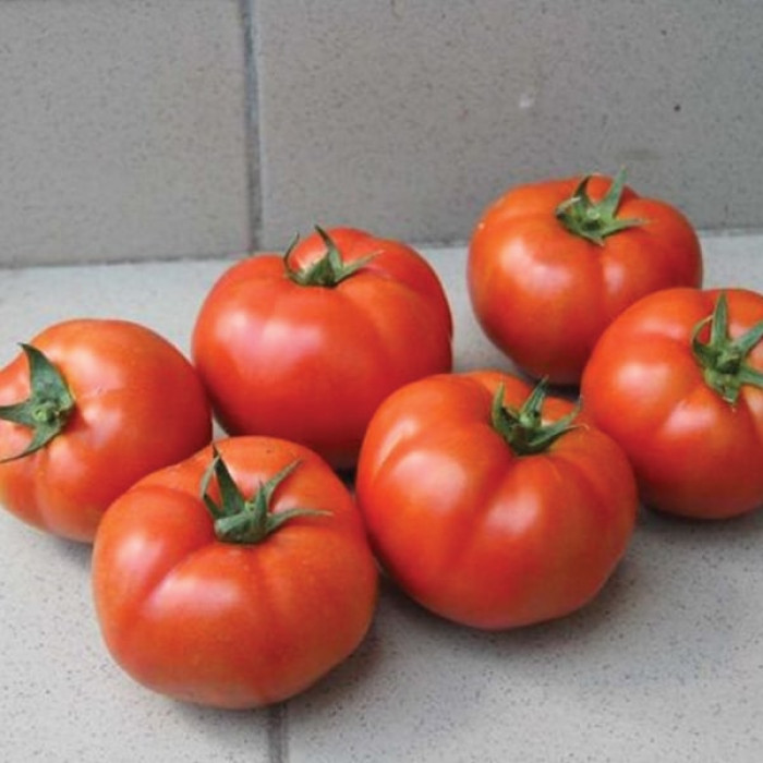 Фото Насіння томатів (помідор) Уракан F1 (Urakan F1), №1